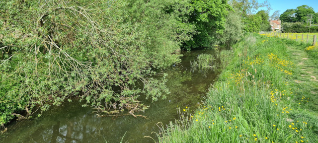 Gilling Beck June21 (7)