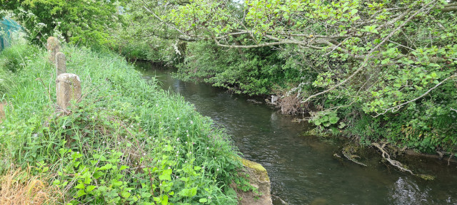 Gilling Beck June21 (9)