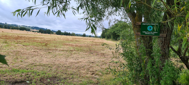 Late Summer (7)