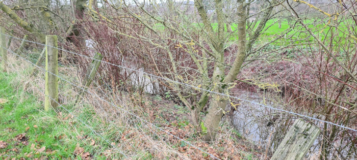 HartforthBeatJan21 (3)