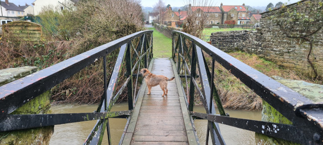 Footbridge In Village