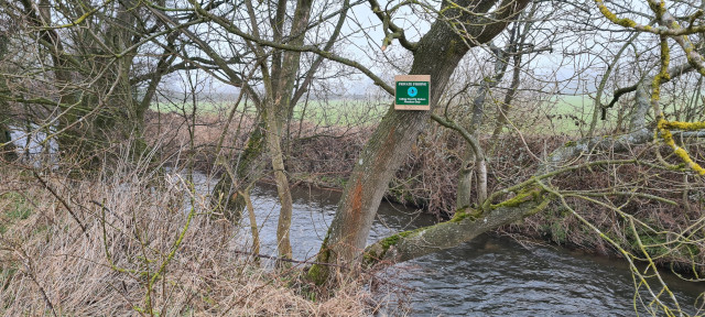 Signage (8)