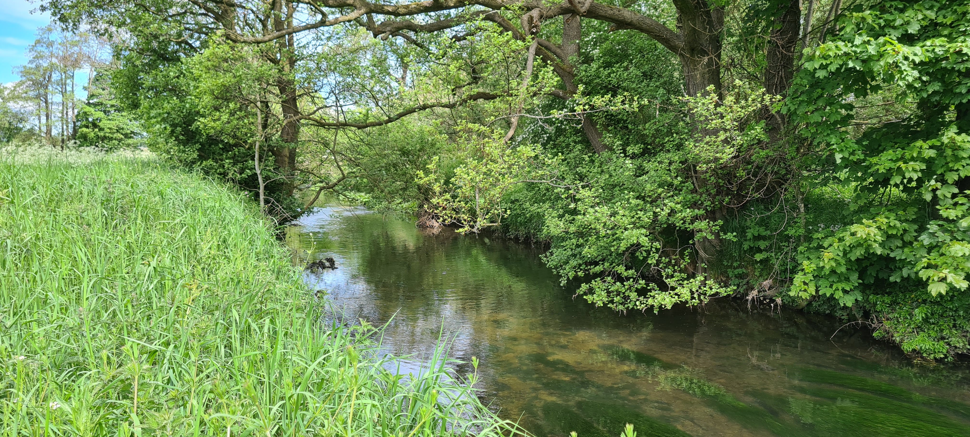 Gilling Beck at Gilling West, North Yorkshire